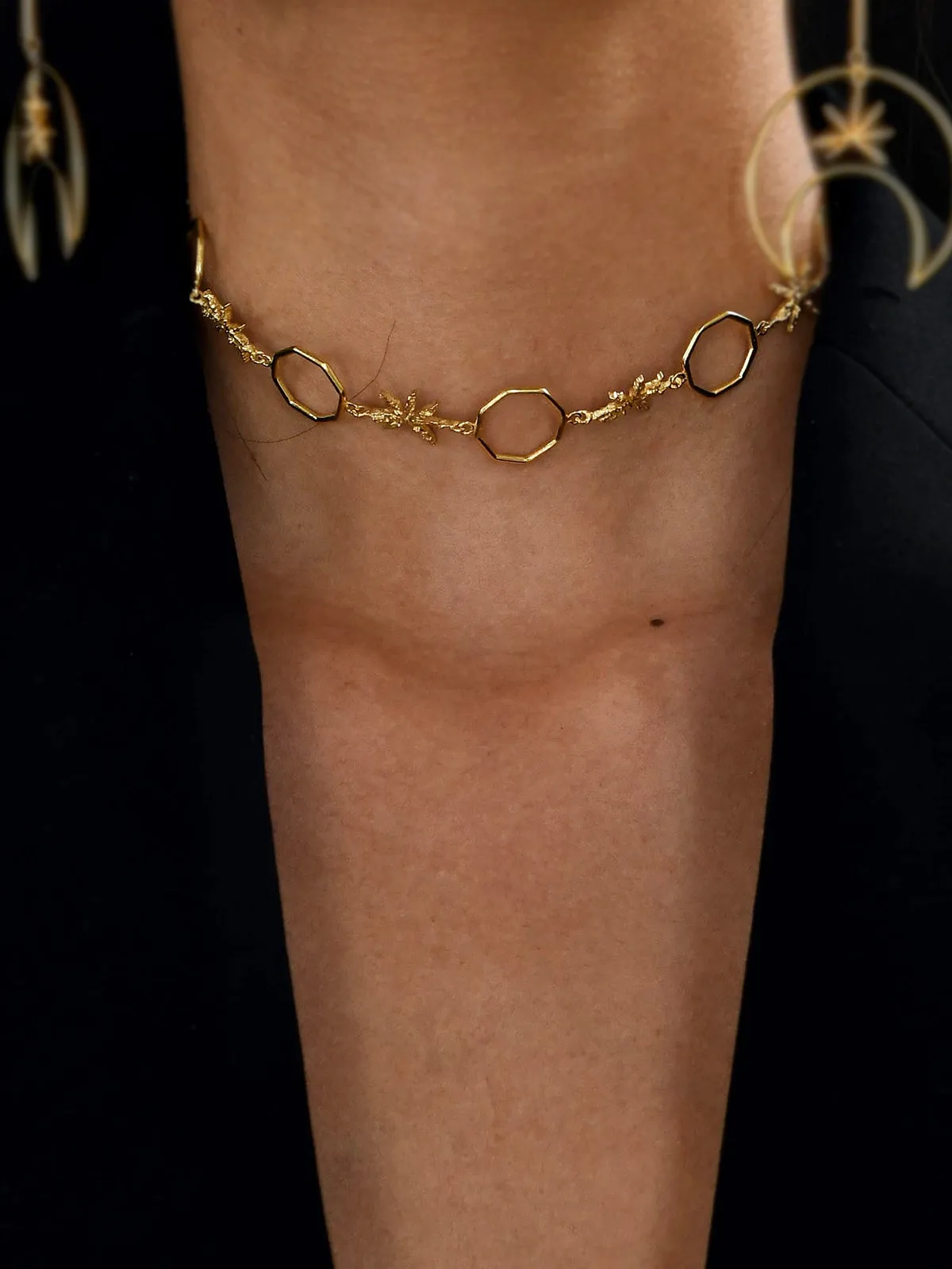 Linked Cinnamon Choker
