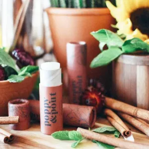 Lip Balm - Cinnamint